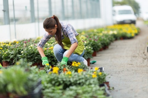 Gardener carrying out safe outdoor maintenance with protective equipment