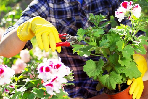 Garden waste sorting with recyclable green materials in Preston
