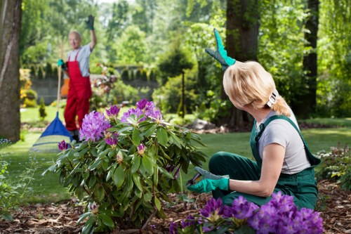 Gardeners Preston maintaining a healthy garden in Preston