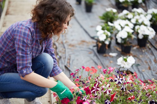Gardening services in Preston for tidy lawns and outdoor maintenance
