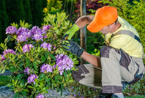 Cookie policy overview for Gardeners Preston website