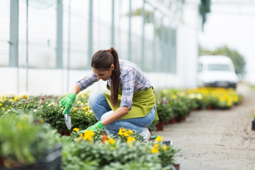 Seasonal lawn maintenance in Preston showing mowing and care