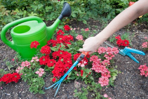 Soft and hard landscaping features in a Preston garden