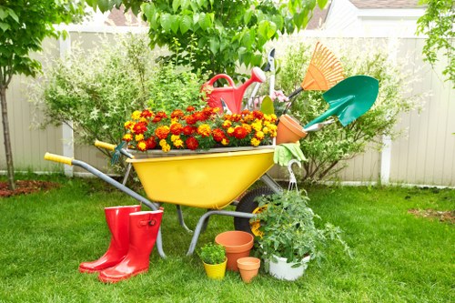 Tree surgery services for safe and healthy trees in Preston
