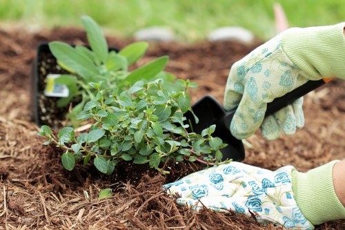 Inclusive web access for gardeners Preston users