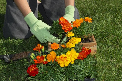 Garden maintenance in Preston with neat lawn and trimmed borders