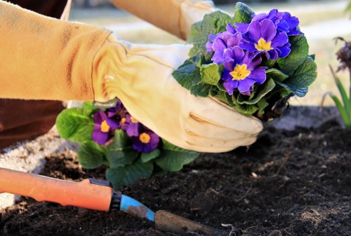 Professional garden upkeep in Preston including hedge and lawn care