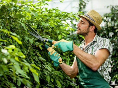 Local gardeners in Preston wearing PPE on a garden job