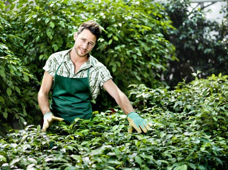 Team member checking tools before gardening work begins