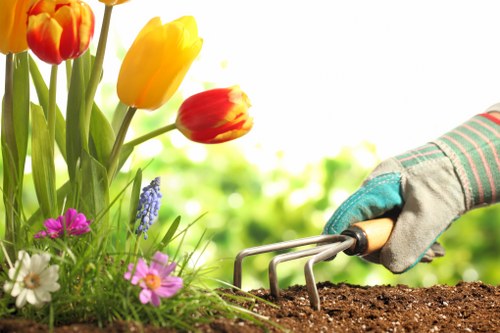 Low-maintenance landscape gardening features for Preston properties