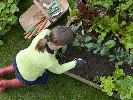 Professional gardener following health and safety standards in a garden