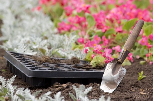 Local gardener trimming hedges and shrubs in Preston garden