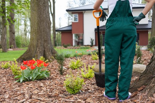 Solving drainage and shade issues in a Preston garden design