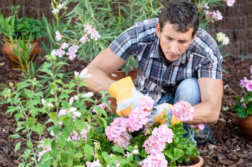 Work records being checked as part of a gardener complaint review