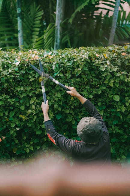 Affordable garden maintenance gardeners in Preston prices explained
